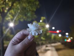 -小骨煲金华砂锅(转塘金街美地店)