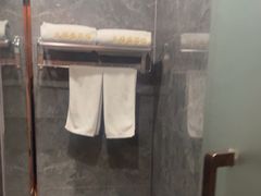 -龙禧盛精品酒店(天津西站店)
