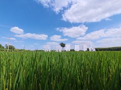 -嘉北郊野公园