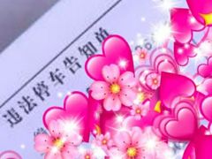 -小柒家第一锹东北菜(城关店)
