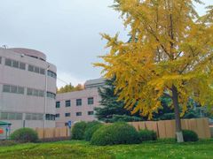 -济南大学-第8食堂