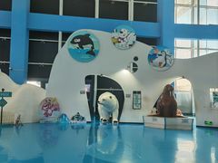-泉城欧乐堡海洋极地世界