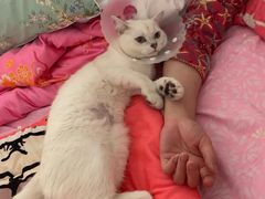 -达爱动物医院·犬猫分区·CT·复杂眼科(远洋山水分院)