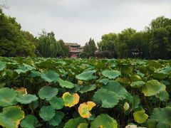 -莲池书院博物馆