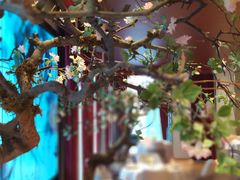 -俏江南天津时尚曲艺主题餐厅(马场道店)