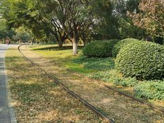 -永定河休闲森林公园