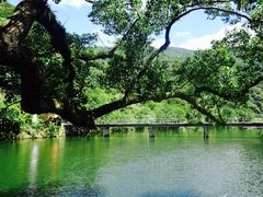 -上坦村