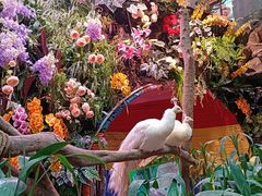 -正佳雨林生态植物园