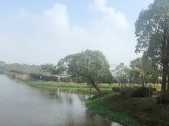 -上海多利农业发展有限公司