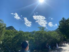 -阳台山自然风景区