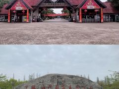 -上海海湾国家森林公园