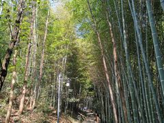 -敬亭山风景名胜区