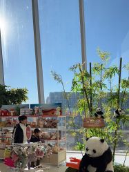 -IMON·HANSA潮玩玩偶毛绒玩具(通州万象汇店)