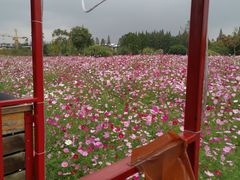 -歌斐颂巧克力小镇