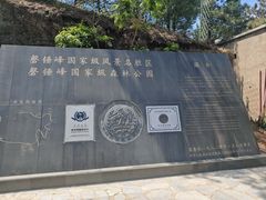 -磬锤峰森林公园