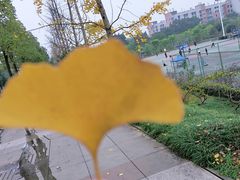 -裕华世纪公园