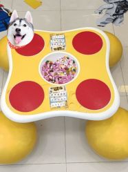 -KIDSLAND(北京蓝色港湾店)