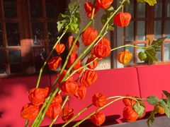 -花邻FloweringLife花艺气球派对(武康大楼店)