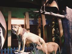 -福建博物院