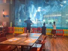 -帝企鹅自助餐厅•儿童岛•真企鹅(长隆企鹅酒店)