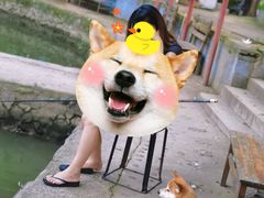 -双新垂钓园