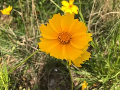 -石井坡(地铁站)