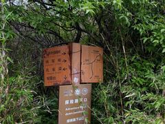 -王顺山国家森林公园