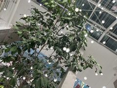 -大树餐厅(红旗街万达店)