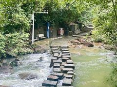 -广州白江湖森林公园