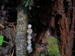 -腾冲云峰山
