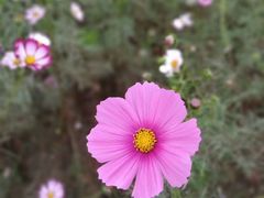 -皇粮浜湿地公园