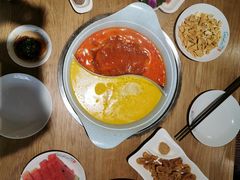 -青瓷火锅料理(西单大悦城店)