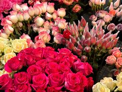 -循礼门鲜花花市(武汉循礼门店)