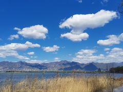 -野鸭湖国家湿地公园