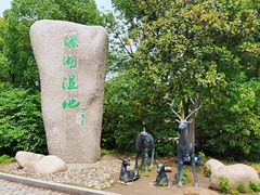 -溱湖国家湿地公园