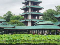 -桂湖森林公园