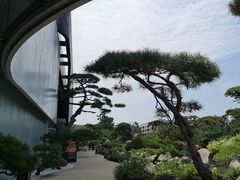 -罗红摄影艺术馆