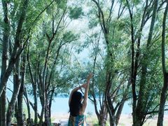 -抚仙湖禄充风景区