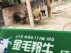 -杭州野生动物世界