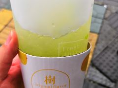 -树夏(建设路店)