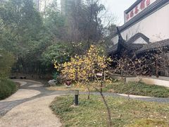 -江宁织造博物馆