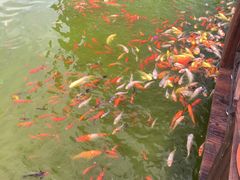 -南通洲际绿博园