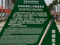 -海上田园