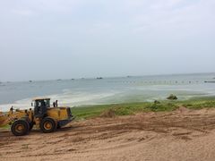 -青岛第二海水浴场