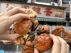 -阆辣荟餐饮(老味道8年·古城店)
