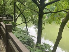 -潜山国家森林公园