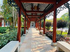 -顺峰山公园