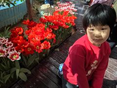 -石家庄市植物园