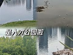 -深圳人才公园