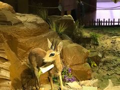 -陕西自然博物馆